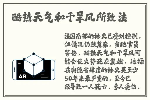 欧美成人精品无码🔞网站